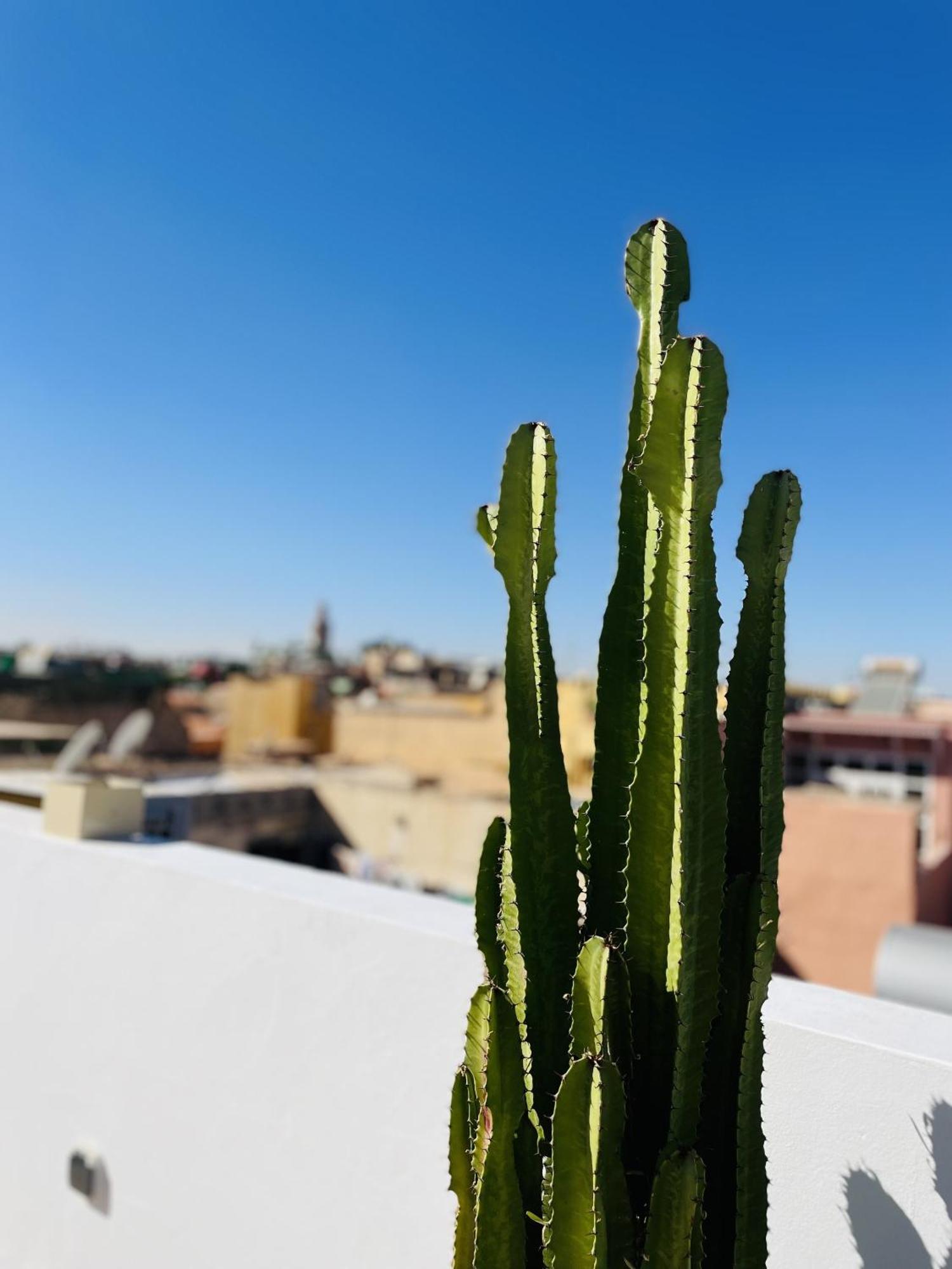 Riad Dar Bayane Marraquexe Exterior foto