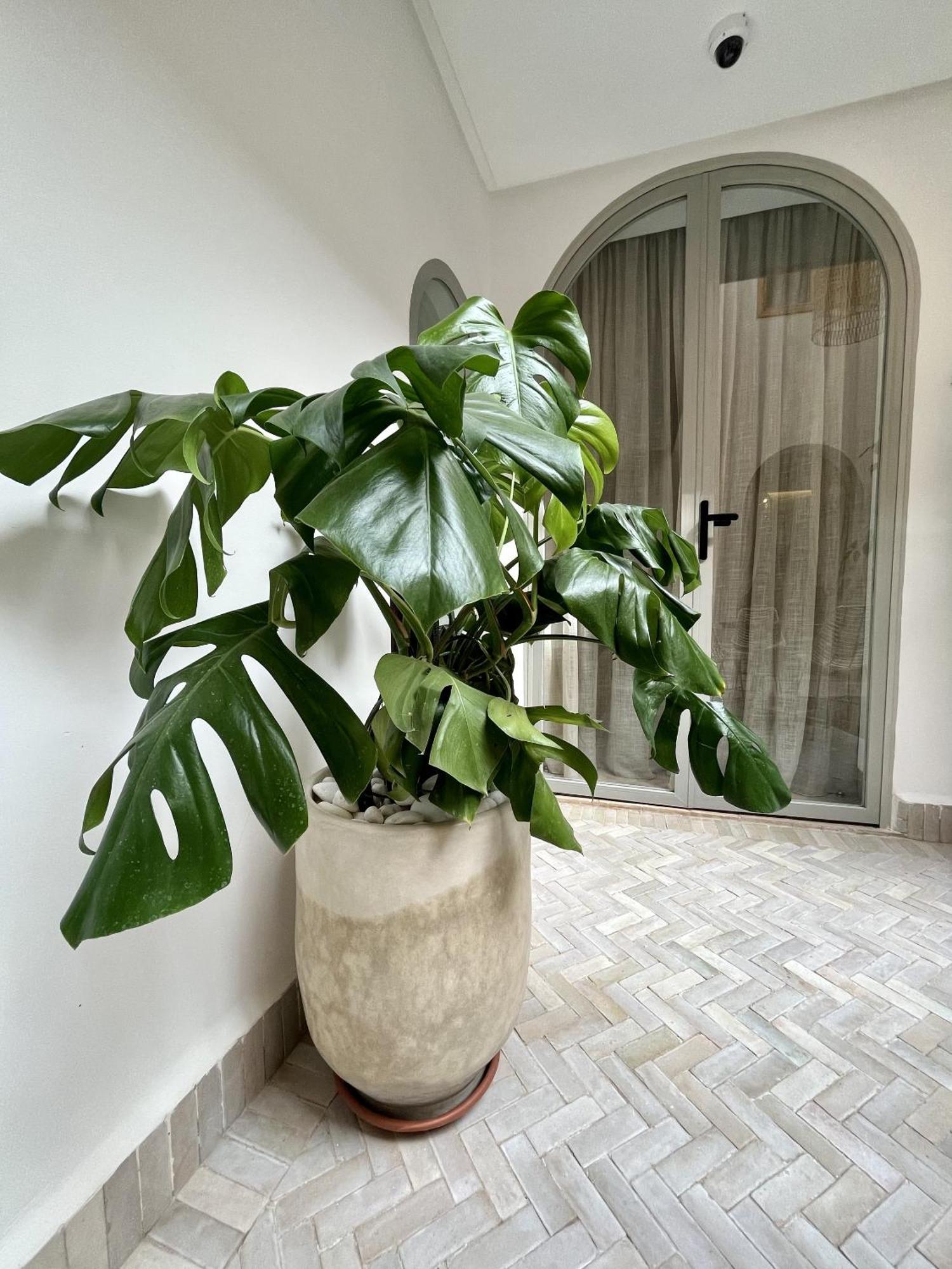 Riad Dar Bayane Marraquexe Exterior foto